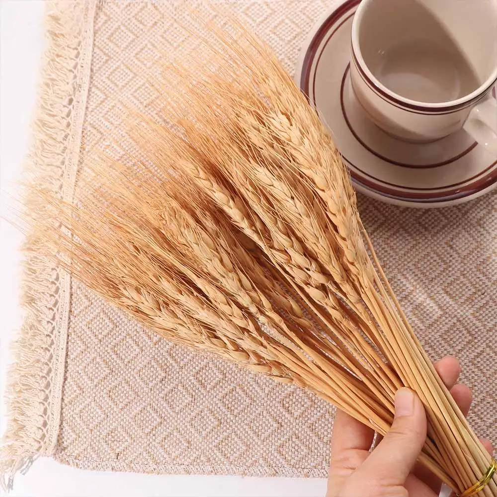 50 adet Yapay Çiçek Doğal Kuru - Wedding Ceremony Supply incelemesi ve fiyatı